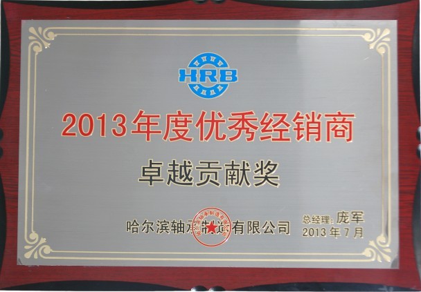 2013年度优秀经销商